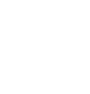 Aureon Intelligent Systems
